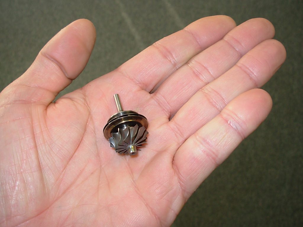 A person holding a small metal object in their hand.